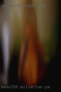 BeaC234 Millerton PA