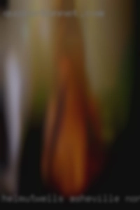 HelmutWells Asheville North Carolina