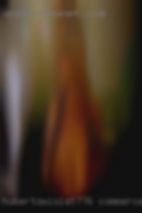 HubertoWiolat776 Commerce Texas