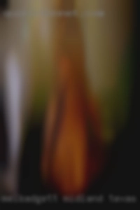 MelBadgett Midland Texas